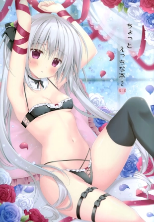 hentai ちょっとえっちな本2