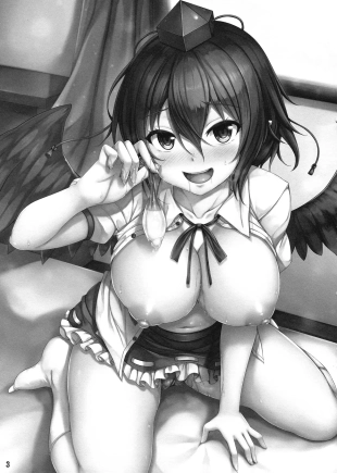 hentai touhou project