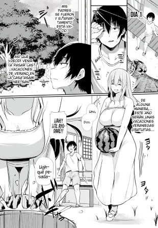 hentai Boku to Onee-chan no Natsuyasumi