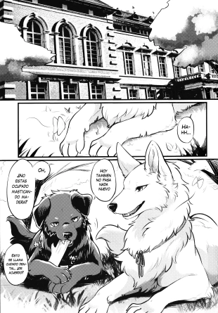 hentai original