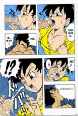 Dragon Ball H : página 13