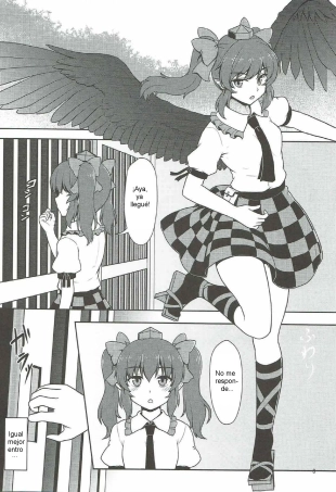 hentai touhou project