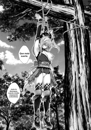 hentai fate grand order