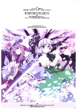 hentai touhou project