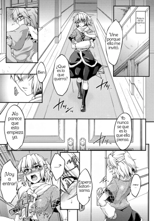 hentai touhou project