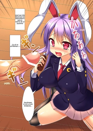 hentai touhou project