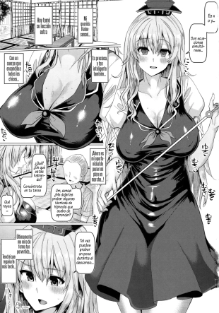 hentai touhou project