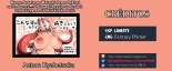 Konna Sugata no Watashi demo Suki ni natte kureru…? Hakugai Ryuujo to Genkai Koroshi-ya no Junai Kairaku Ochi : página 79