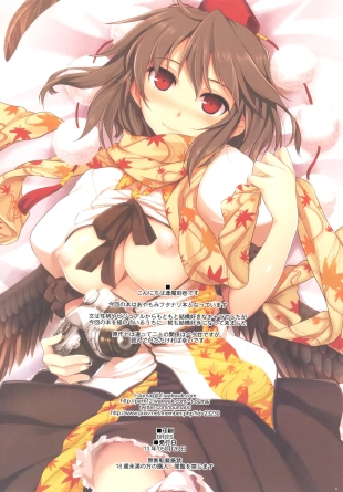 hentai touhou project