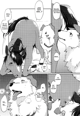 hentai original