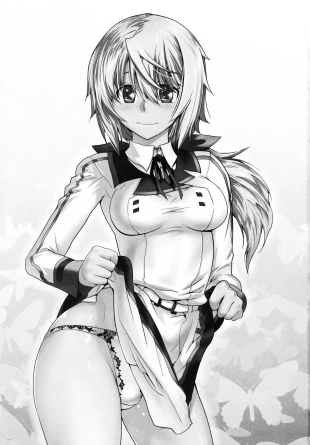 hentai infinite stratos