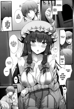 hentai touhou project