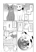 Matometa no. : página 28