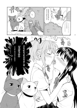 Matometa no. : página 31