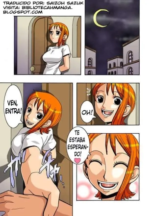 hentai one piece