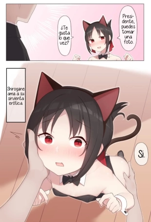 hentai kaguya-sama wa kokurasetai