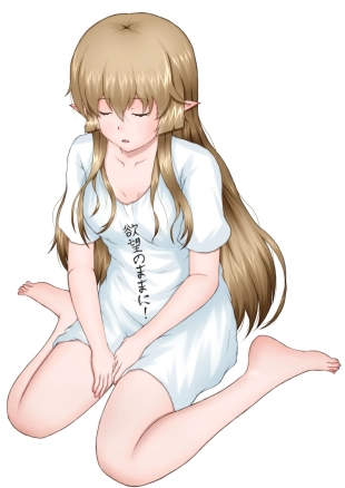 hentai outbreak company