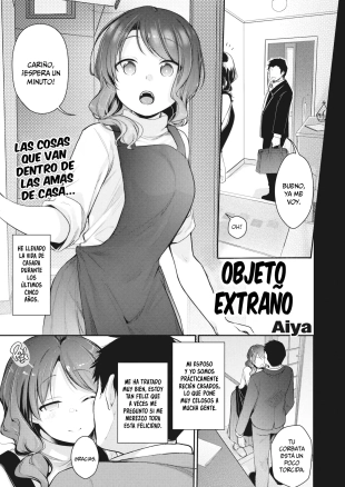 hentai Objeto Extraño