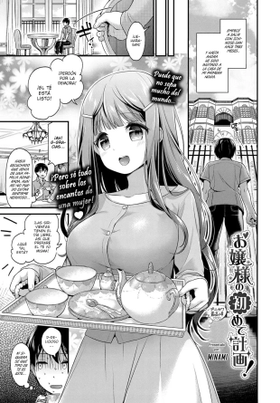 hentai ¡El primer plan de la señorita!