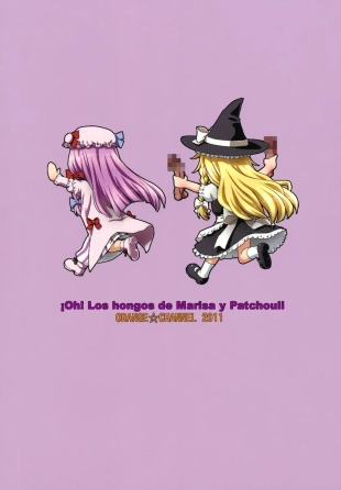 hentai touhou project