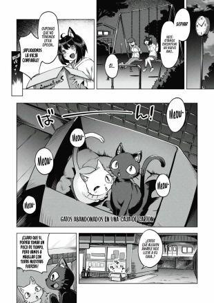 hentai Gatitas no invitadas 1
