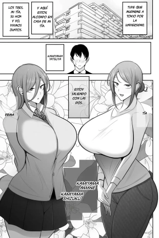 hentai original