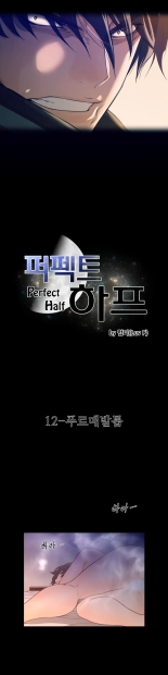 Perfect Half Ch.1-25 : página 330