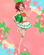 Pretty Cure Connection Puzzle Card List : página 244