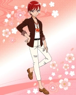 Pretty Cure Connection Puzzle Card List : página 246