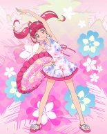 Pretty Cure Connection Puzzle Card List : página 300