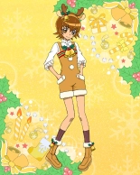 Pretty Cure Connection Puzzle Card List : página 334