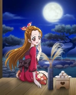 Pretty Cure Connection Puzzle Card List : página 470