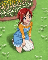 Pretty Cure Connection Puzzle Card List : página 471