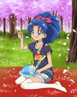 Pretty Cure Connection Puzzle Card List : página 485