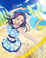 Pretty Cure Connection Puzzle Card List : página 501