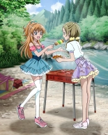 Pretty Cure Connection Puzzle Card List : página 521