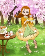 Pretty Cure Connection Puzzle Card List : página 529