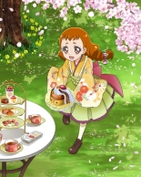 Pretty Cure Connection Puzzle Card List : página 530