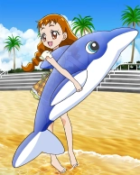 Pretty Cure Connection Puzzle Card List : página 531
