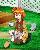Pretty Cure Connection Puzzle Card List : página 551