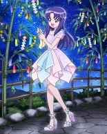 Pretty Cure Connection Puzzle Card List : página 557