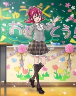 Pretty Cure Connection Puzzle Card List : página 610