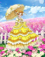 Pretty Cure Connection Puzzle Card List : página 700