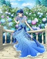 Pretty Cure Connection Puzzle Card List : página 724