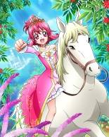 Pretty Cure Connection Puzzle Card List : página 740