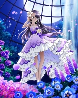 Pretty Cure Connection Puzzle Card List : página 765