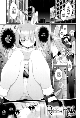 hentai Rabbit Hole