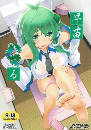 hentai touhou project