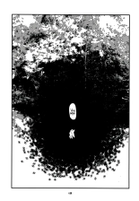 Shashin : página 6