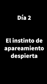 Ella_está_siendo_el_objetivo__Viaje_a_las_aguas_termales : página 61